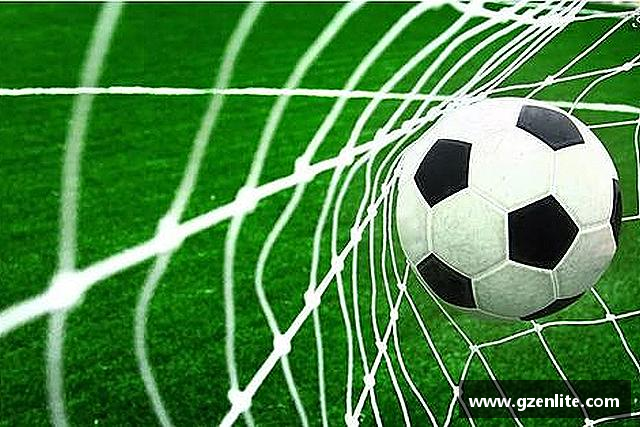 关于Bsport手机版